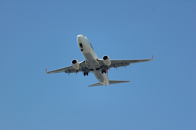 JAL Boeing737-846