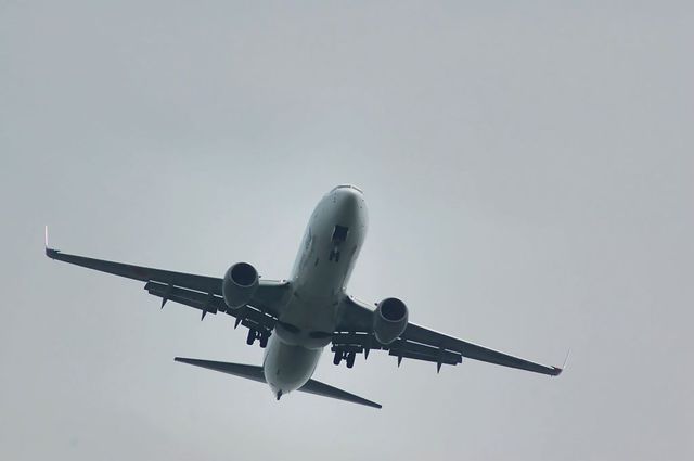 ANA Boeing737-881(JA51AN)