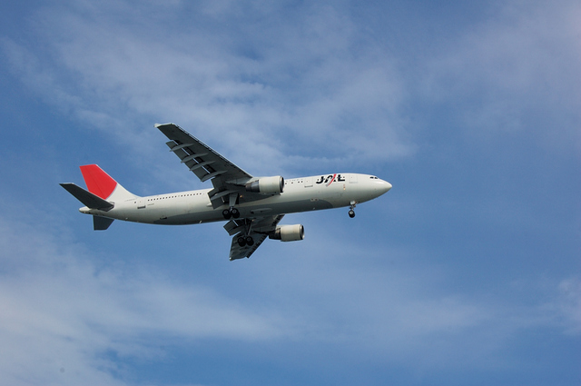 JAL Airbus　A300-600R