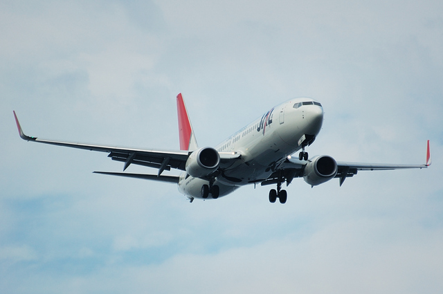 JAL Boeing737-800