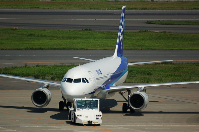 ANA Airbus A320-200(JA8396)　その１