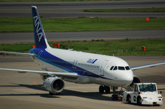 ANA Airbus A320-200(JA8396)　その２