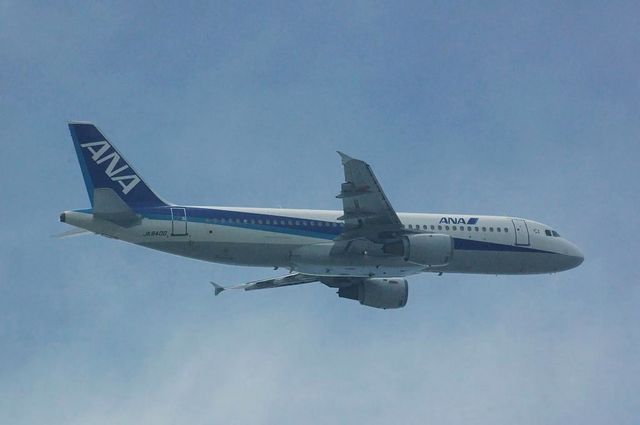 ANA Airbus A320-200(JA8400)