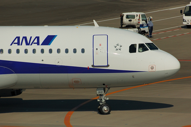 ANA Airbus A320-200　3