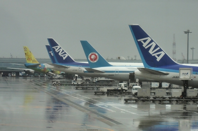 第2ターミナルに並ぶANA機