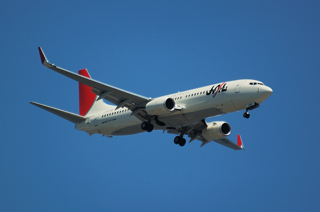 JAL Boeing737-800 2