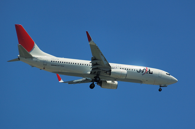 JAL Boeing737-800 3