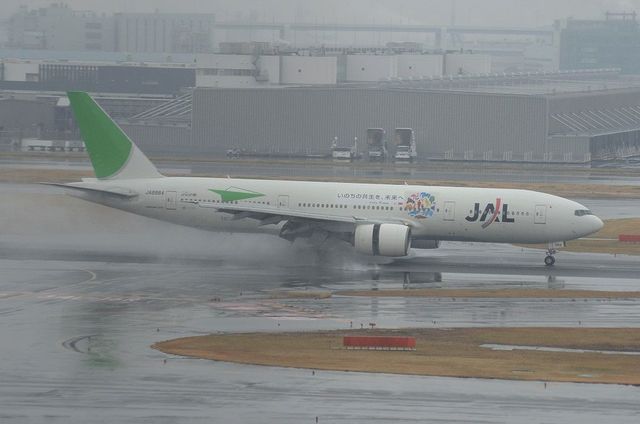JAL ECOジェット