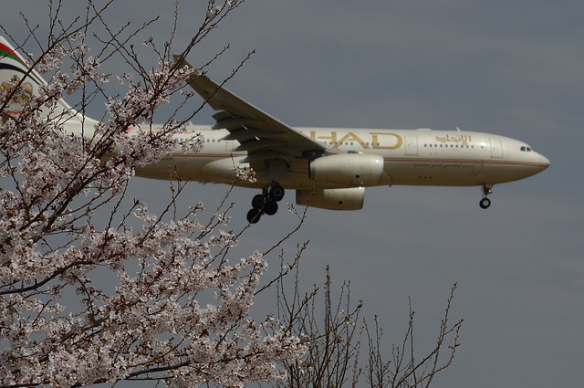 ETIHAD A330-200 3