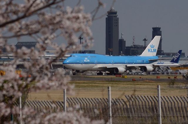 KLMのB747-400と桜