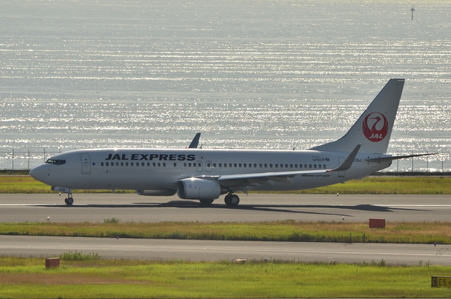JAL 鶴丸Boeing737
