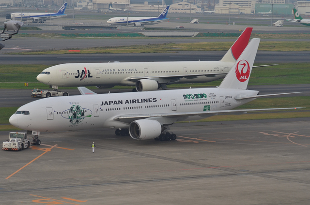 777　JAL新旧デザイン