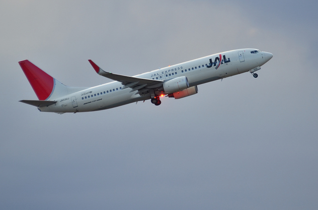 JAL B737