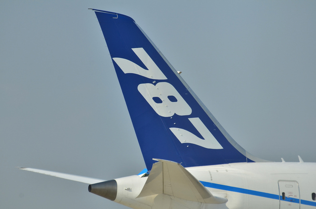 B787 垂直尾翼