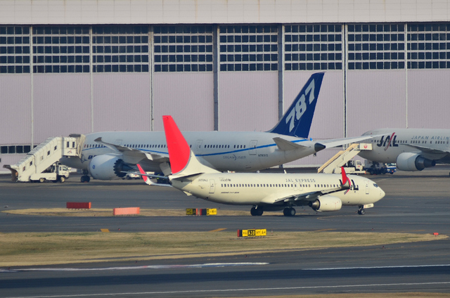 JAL B737