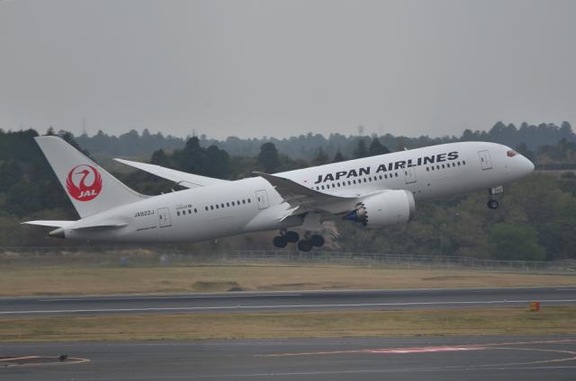 JAL B787 12