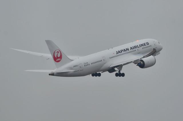 JAL B787 15