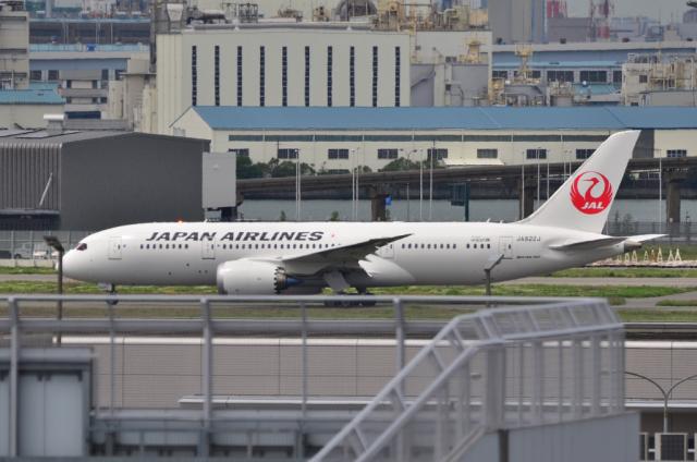 JAL 787 1