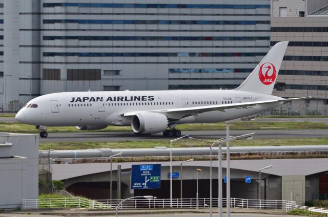 JAL 787 3