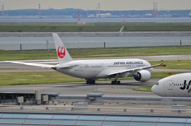 JAL 787 5