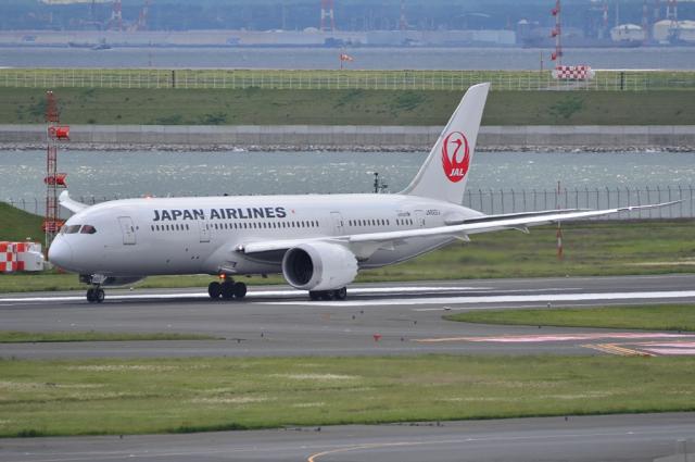 JAL 787 6