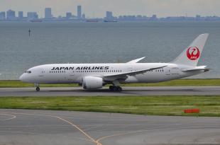JAL 787 7-1