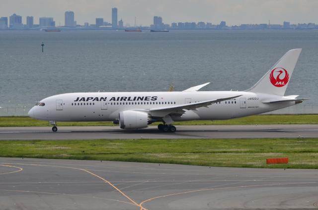 JAL 787 7