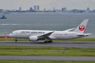 JAL 787 8-1