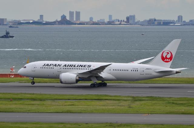 JAL 787 8