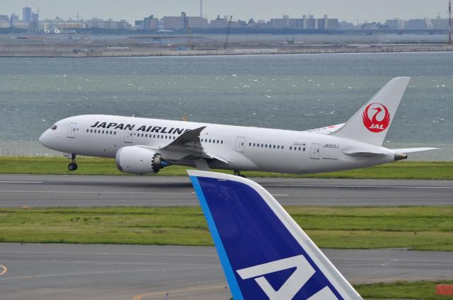 JAL 787 9