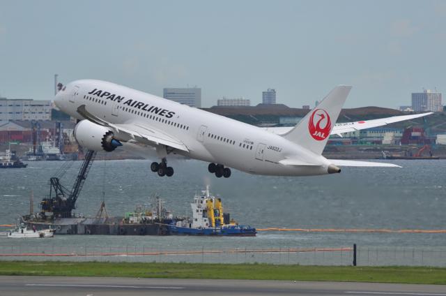 JAL 787 10