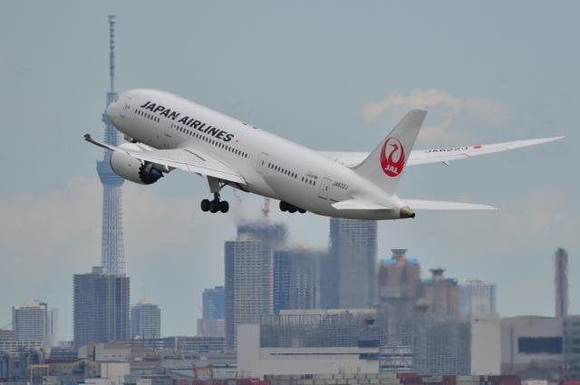 JAL 787 11