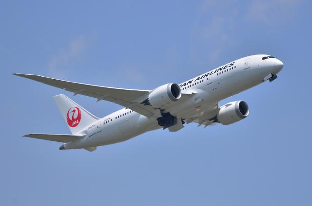 JAL787 1