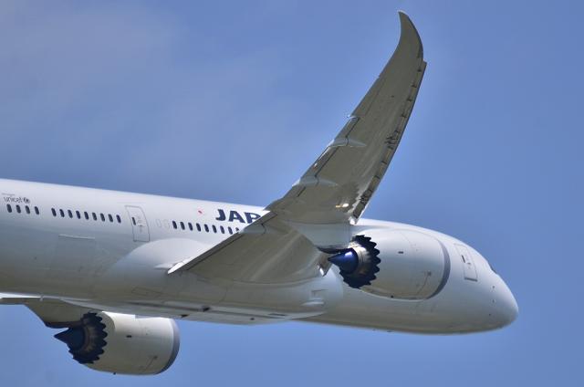 JAL787 3