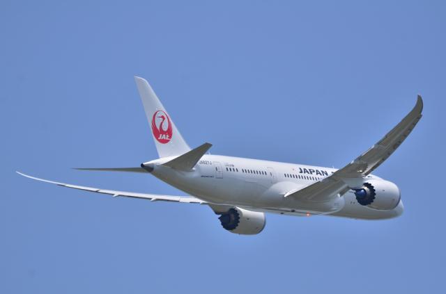 JAL787 4