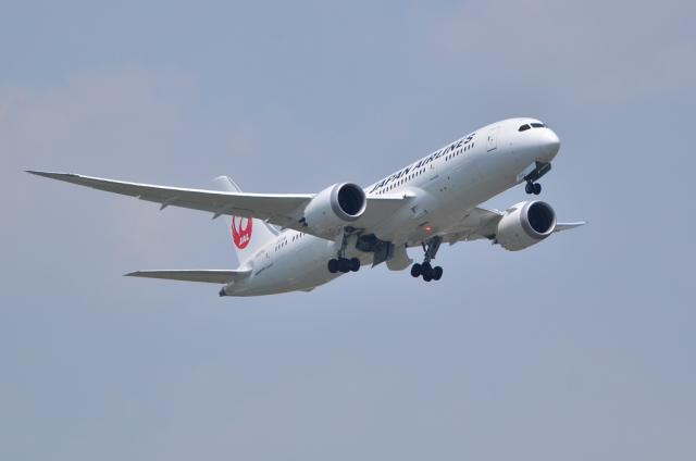 JAL787 5