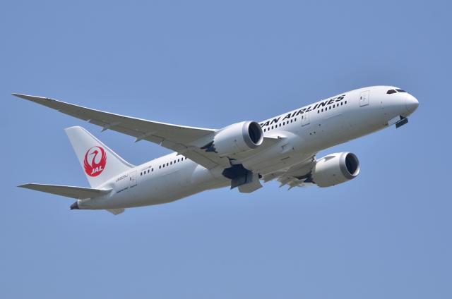 JAL787 6