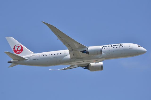 JAL787 7