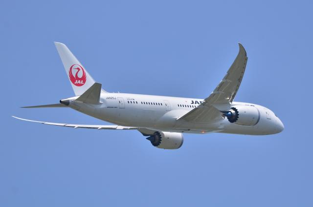 JAL787 8