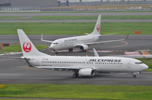 JAL 7
