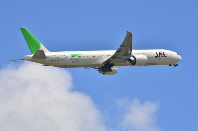 JAL 11