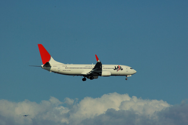 JAL Boeing737-800と夏雲