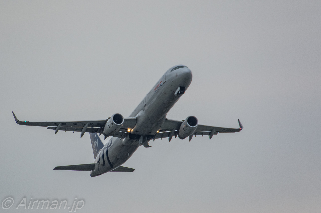 Airbus A321、ウィングチップとシャークレット – Airmanの飛行機写真館